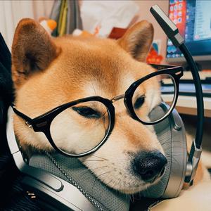 秀人网大尺度内部无码
