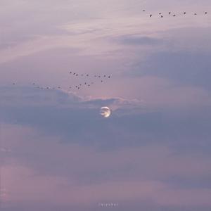 秀人网大尺度内部无码
